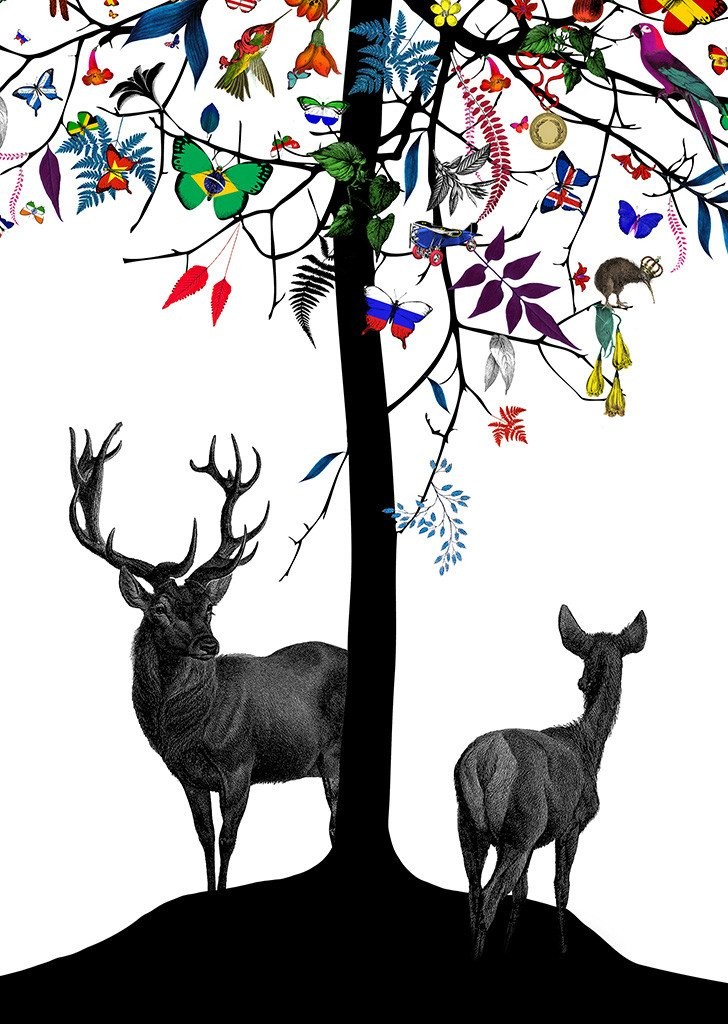 Image of Kristjana S Williams