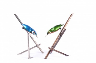 The Diver | Tim Cotterill  image