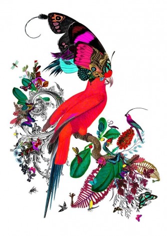 Barraband Parrot | Kristjana S Williams image