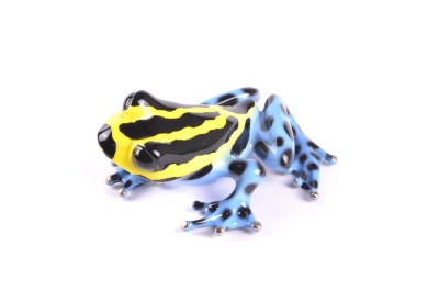 Buster - SOLD OUT  | Wild Side Collection | Tim Cotterill  image