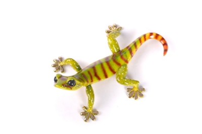 Dino | Gecko by Tim Cotterill Frogman image