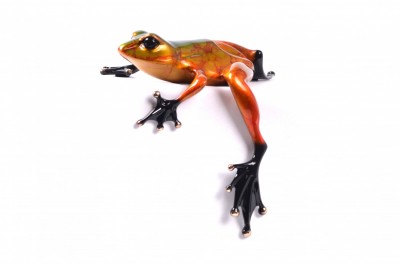 Diego | Rare Edition Variation of 75 | LAST ONE | Tim Cotterill Frogman image