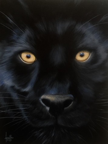 Panther | Jonathan Truss Original image