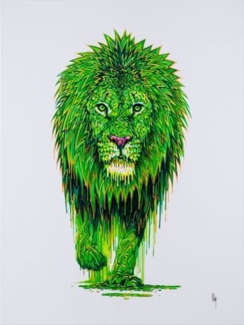 Malachite | Lion | Robert Oxley image