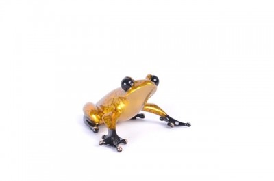 Moët | Gallery Exclusive | Frogman | Tim Cotterill | Last One! image