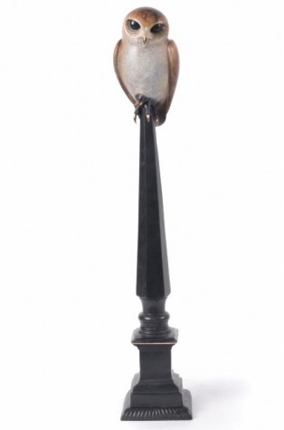 Napoleon | Owl | Tim Cotterill image