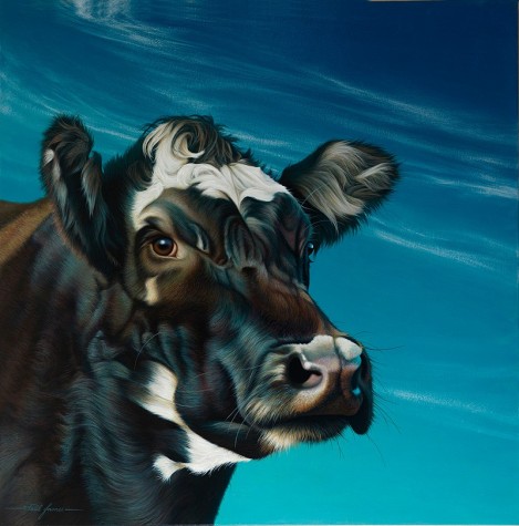 Freddie | Paul James image