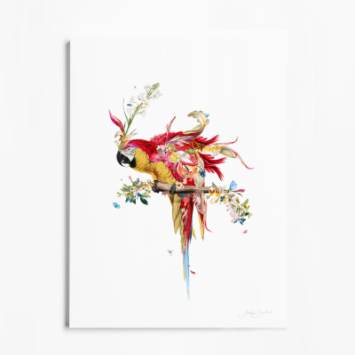 Botanical Harry Gin Bird II - Red & Gold | Kristjana S Williams  image