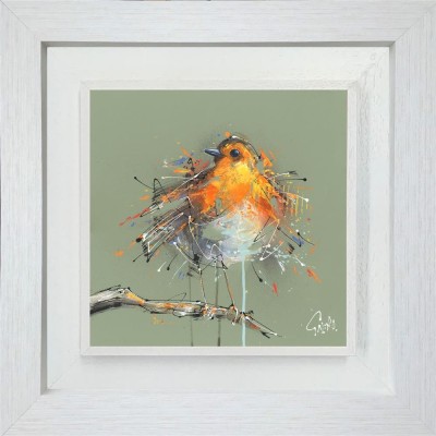 Rupert | Robin | Joe Galindo image