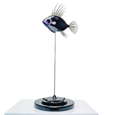 Baby Dory | Various Colour Options | Carbon Art image