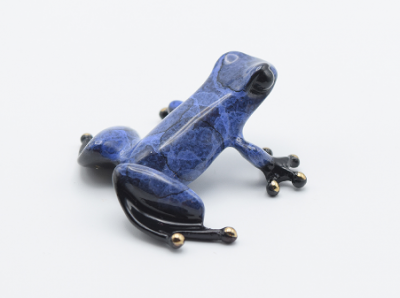 Storm | Mini Bronze | Frogman image