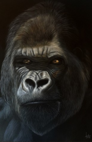 The Boss | Jonathan Truss image