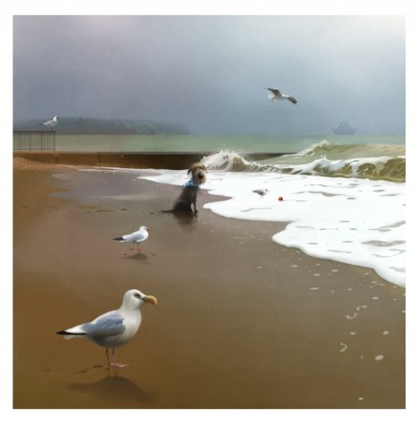 Shallow End | Stephen Hanson image