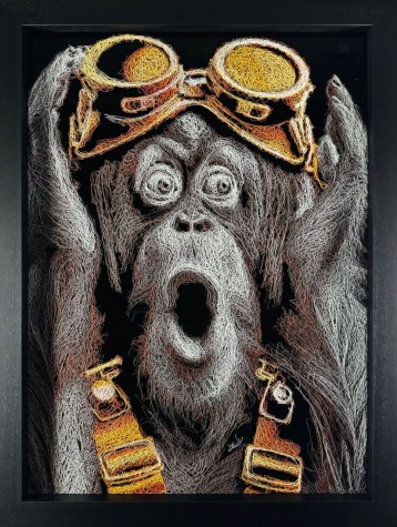 Yikes | Original Chimpanzee Zalini image