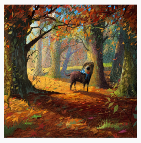 Autumn Adventure | Stephen Hanson image