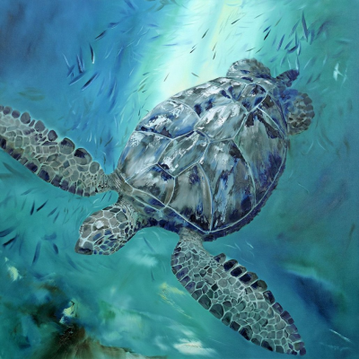 Finding Solace | Julie Ann Scott  image