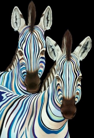 Born To Stand Out | Various Editions | Hayley Goodhead image