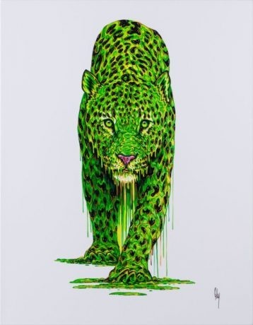 Sage | Leopard | Robert Oxley image