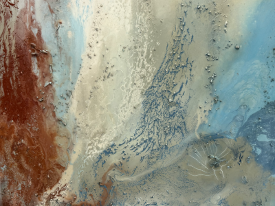 Coral Reef II | Original 50" x 38" image