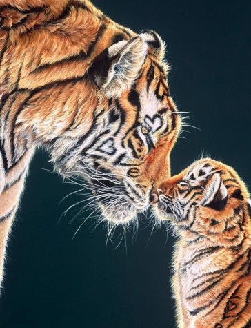 Endless Love | Various Editions | Hayley Goodhead image