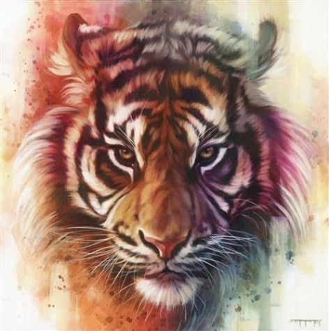Eye Of The Tiger image