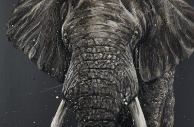 Gino | Paul Oz image