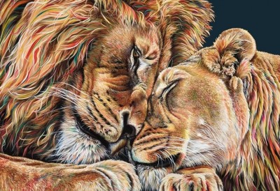 Head Over Heels | Various Editions | Hayley Goodhead image