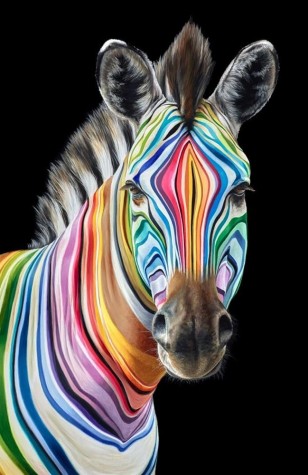 Shine Bright | Various Editions | Hayley Goodhead image