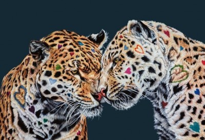 Love Is In The Air | Various Editions | Hayley Goodhead image