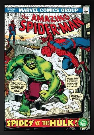 The Amazing Spider-Man #119 - Spidey vs The Hulk! (Deluxe) image