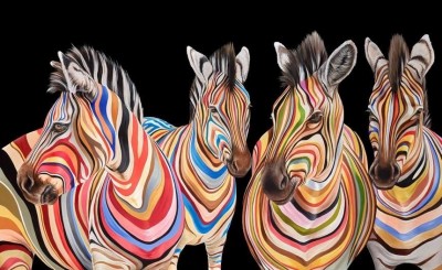 The Savannah Stripes | Various Editions | Hayley Goodhead image